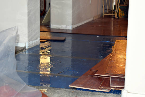 Professional Basement Flood Cleanup technician working in Harwich, MA